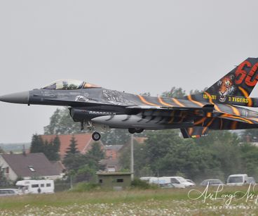 Belgian Air Force - F-16-MLU - 60 Years 31 Tigers Livery - FA-87